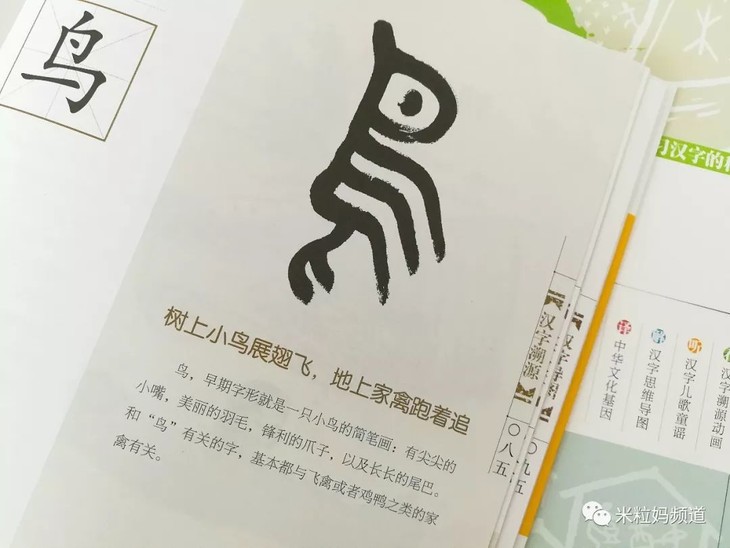 咱们来看一个具体的例子吧,鸟兽的"鸟"字,首先是从甲骨文到楷书的
