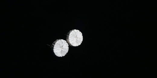 枯木 银耳钉 白色款○悦物Jewelry 商品图2
