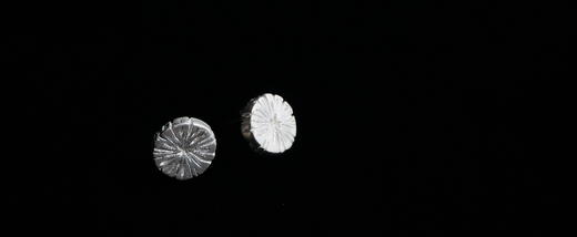 枯木 银耳钉 白色款○悦物Jewelry 商品图3