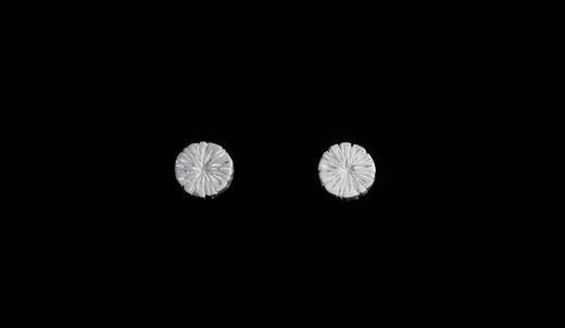 枯木 银耳钉 白色款○悦物Jewelry 商品图1