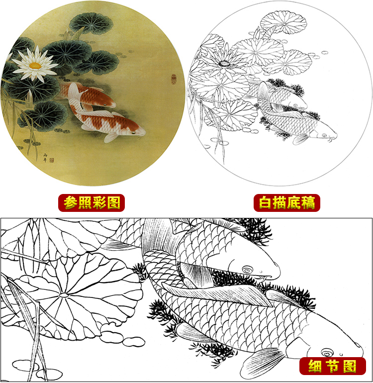 ts46工笔画荷花鲤鱼白描底稿国画花鸟团扇临摹勾线练习素材打印稿