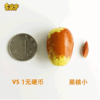 土哆哆 云南蒙自金丝蜜枣 4斤 商品缩略图3