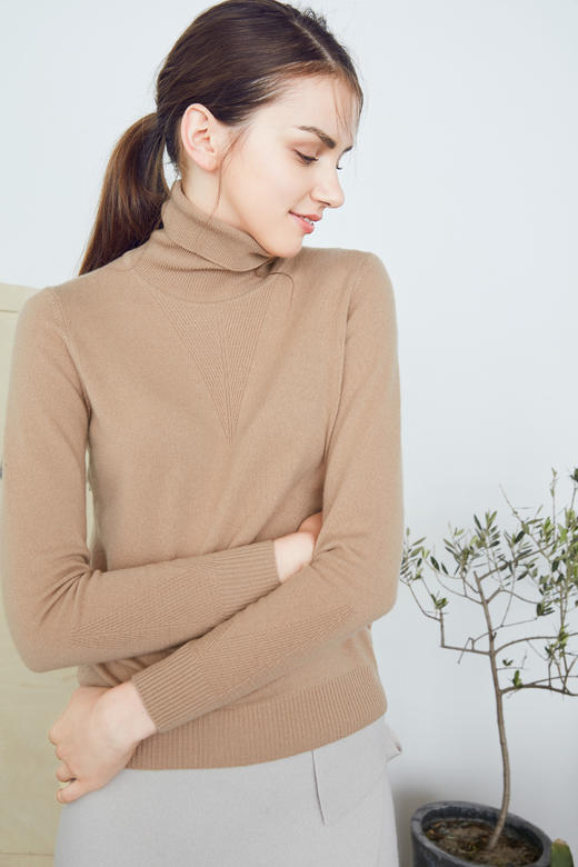 双翻领羊绒女套衫  普通羊绒衫的3倍保暖  DSF13W009N 商品图2
