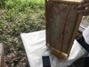 湘西农家放养土蜂蜜，野生荆条蜜 商品缩略图6
