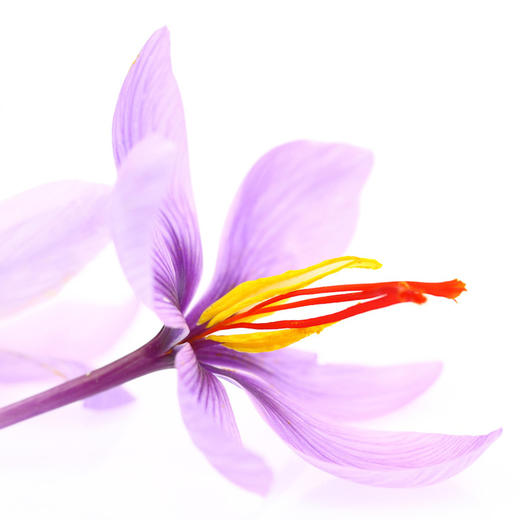 伊朗顶级藏红花，补气养血 5g/瓶 | 2瓶特惠，够用一年。 商品图4