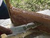 湘西农家放养土蜂蜜，野生荆条蜜 商品缩略图9