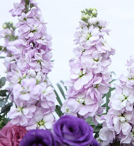 开业花篮-三角花架奢华款-全国鲜花速递同城鲜花店配送生日花北京上海杭州广州深圳订花送花 商品图2
