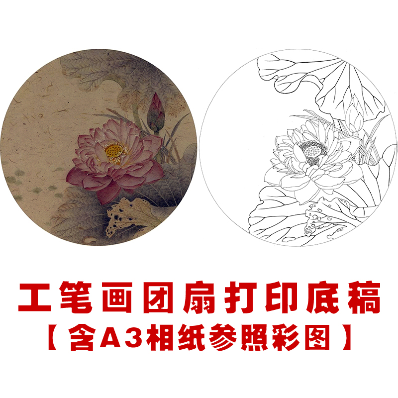 ts67工笔画团扇白描底稿初学者入门国画花鸟荷花临摹