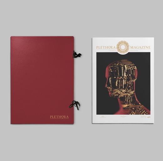 Plethora Magazine 第7期 丹麦独立艺术杂志 商品图0