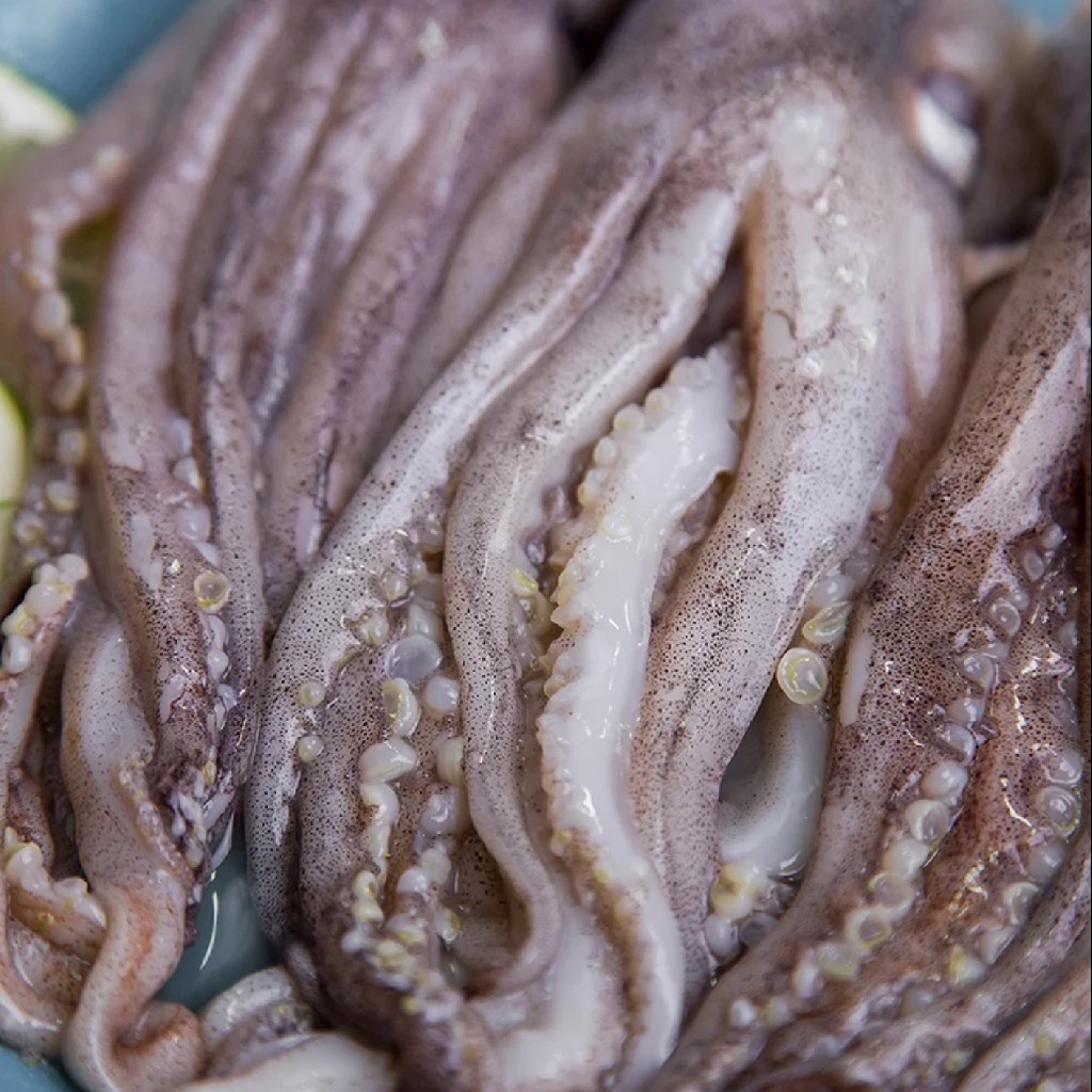 鱿鱼须500g