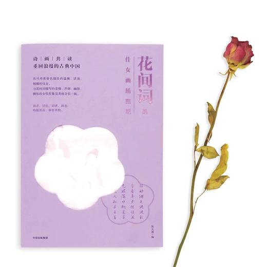 诗画共读 花间词选（仕女画插图版） 张天漫 著 商品图1