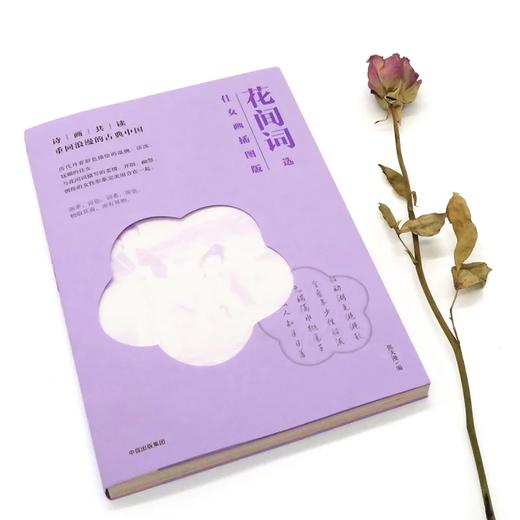 诗画共读 花间词选（仕女画插图版） 张天漫 著 商品图3