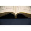 【崇贤宝笈】《王文成公全书》明隆庆六年刻本影印版（六函三十六册）手工宣纸线装 商品缩略图7