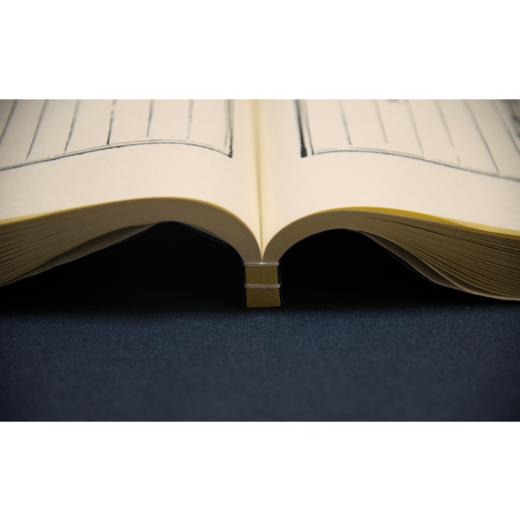 【崇贤宝笈】《王文成公全书》明隆庆六年刻本影印版（六函三十六册）手工宣纸线装 商品图7