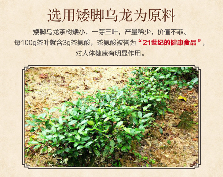 五十茗庄 矮脚乌龙茶 清香型【伴手礼精选】