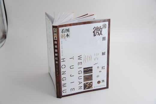 看图识木—微观图解红木 商品图2