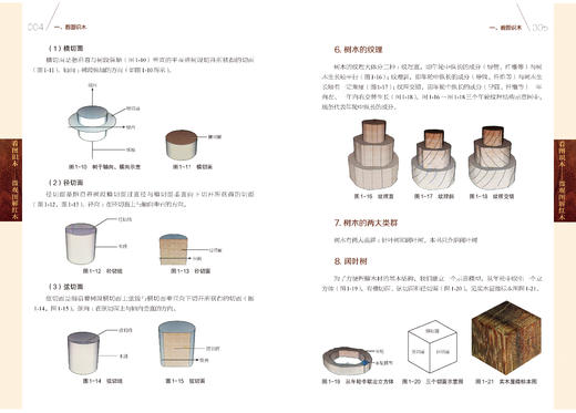 看图识木—微观图解红木 商品图1