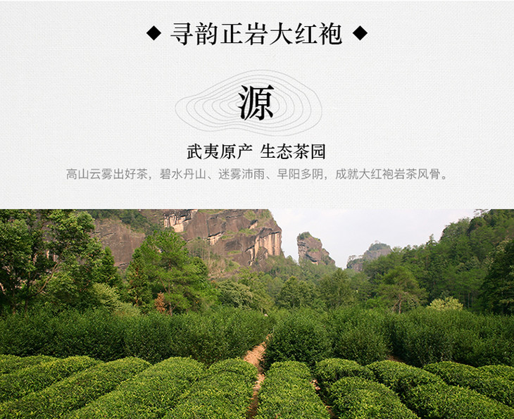 八马茶业|东湖之光纪念版·大红袍乌龙茶茶叶 80g/盒