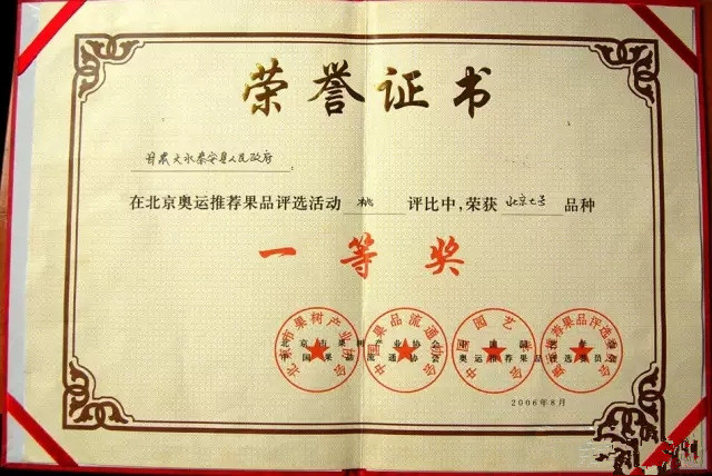 新鲜黑土豆乌洋芋马铃薯大小紫色的土豆紫心5斤包邮