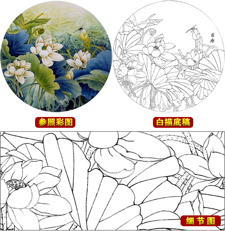 ts64高清工笔画荷花白描底稿国画花鸟小品临摹练习素材勾线打印稿