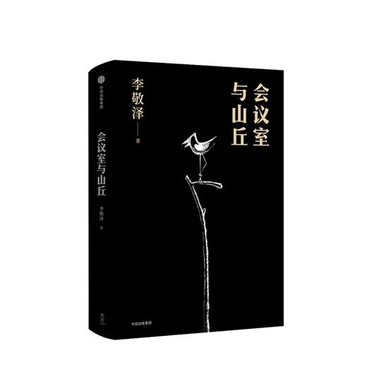 会议室与山丘 李敬泽 著 商品图2