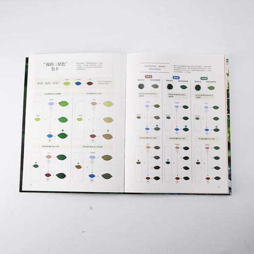 四季清新水彩课I：如何描绘自然风景（让颜料随心流动，营造偶然之美  和伙伴一起描绘生活、尽情比拼画技） 商品图3