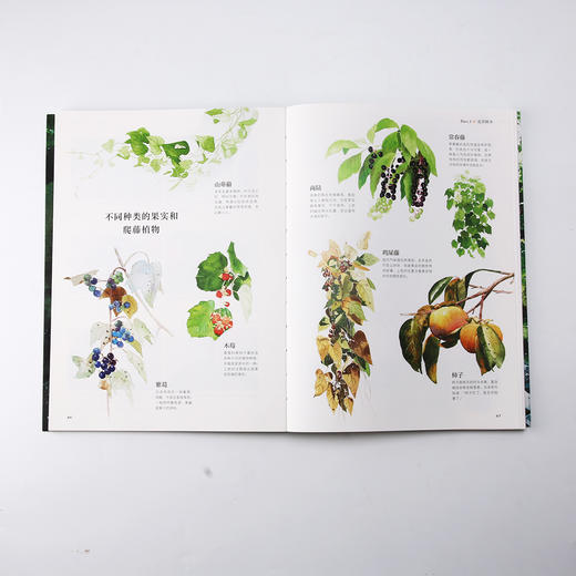 四季清新水彩课I：如何描绘自然风景（让颜料随心流动，营造偶然之美  和伙伴一起描绘生活、尽情比拼画技） 商品图5