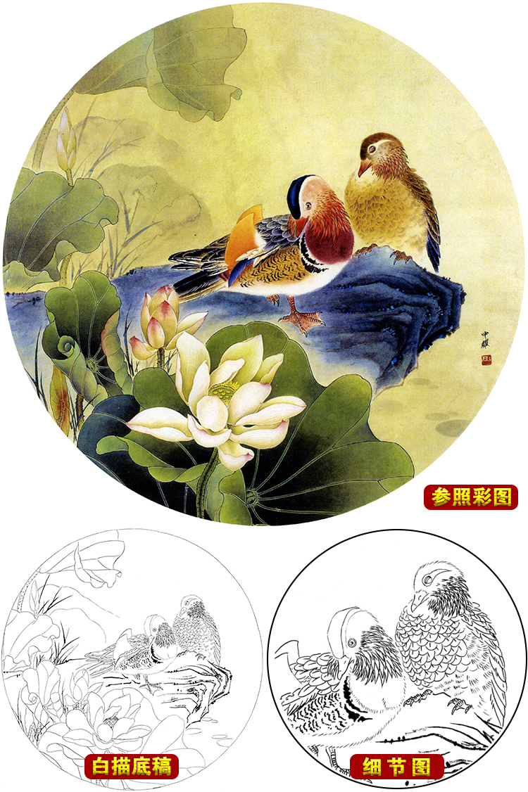 ts100周中耀工笔画荷花鸳鸯白描底稿国画花鸟临摹练习