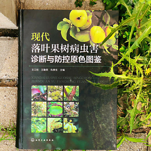 现代落叶果树病虫害诊断与防控原色图鉴 商品图1