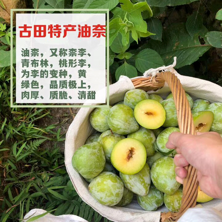 福建古田油奈果空心李青布林桃心奈李青柰脱骨李子新鲜水果现摘现发5