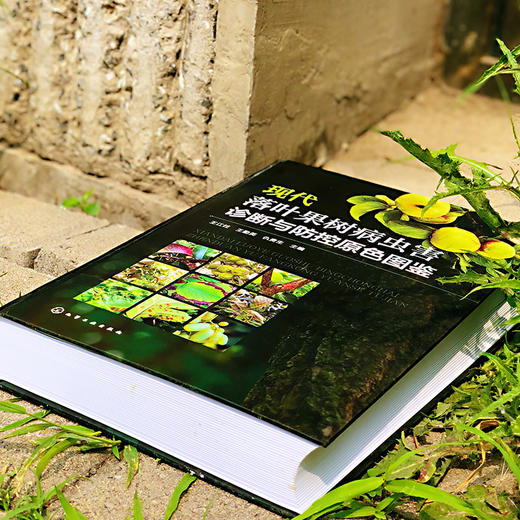 现代落叶果树病虫害诊断与防控原色图鉴 商品图2