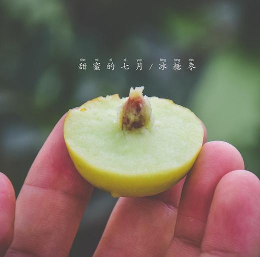 土哆哆 云南蒙自金丝蜜枣 4斤 商品图4