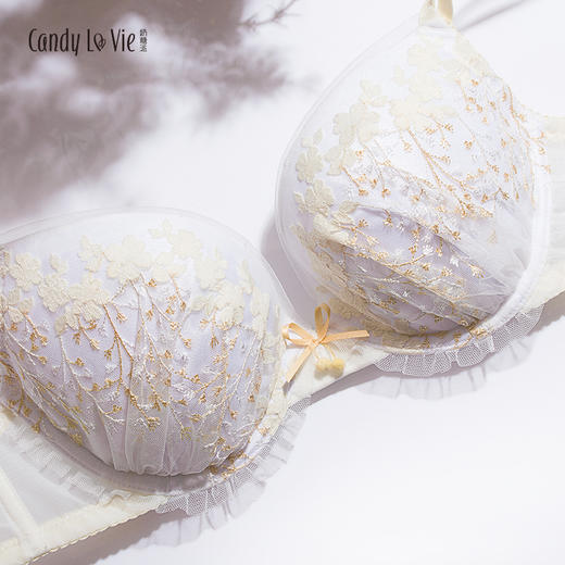 弥生低鸡心刺绣款俏皮撞色大罩杯内衣 商品图2