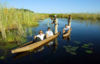 Botswana ｜ 豪华博茨瓦纳11日游 商品缩略图0