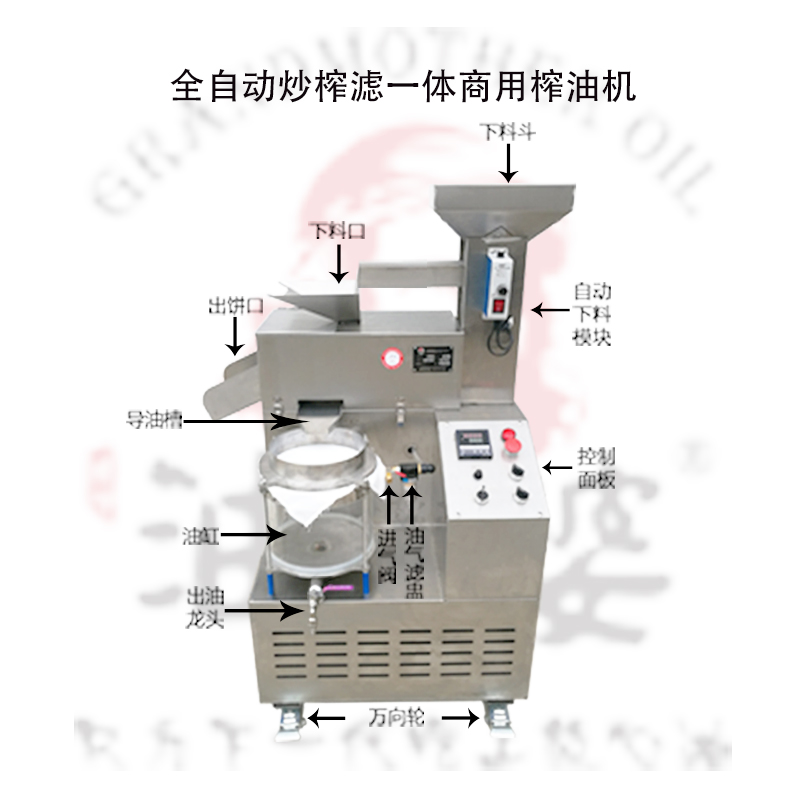 油婆婆榨油机中型小型商用全自动炒榨滤一体 现榨现卖