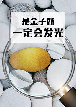 课时06：是金子就一定会发光 商品图0