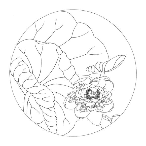 ts86工笔画荷花团扇白描底稿国画花鸟初学者入门临摹_乐乐简笔画 ts86工笔画荷花团扇白描底稿国画花鸟初学者入门临摹