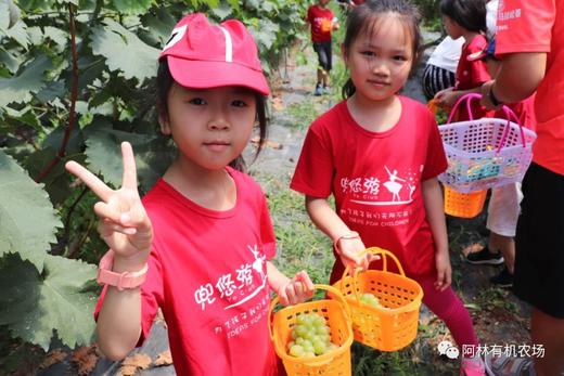 阿林有机农场2020夏令营活动 商品图1