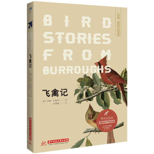 飞禽记   蓝知了 博物图鉴版系列    9787568040044 华中科技大学出版社 商品图0