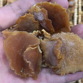 南港渔铺 珍珠鲍（大）