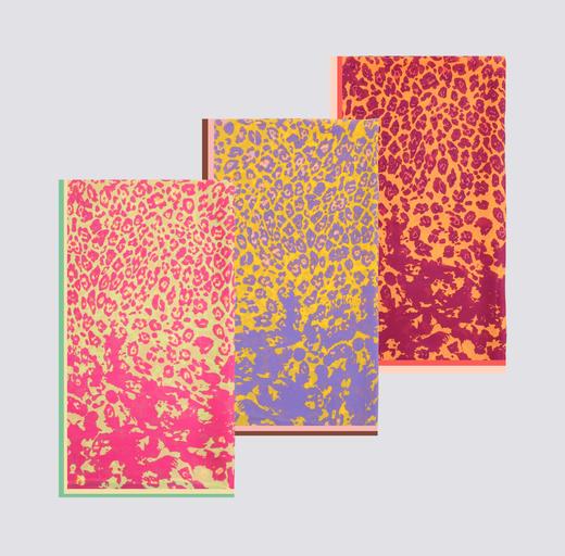 heyin 时尚围巾 SFW1301005 商品图0