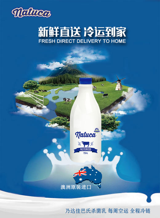 乃达佳澳洲鲜牛奶 商品图2