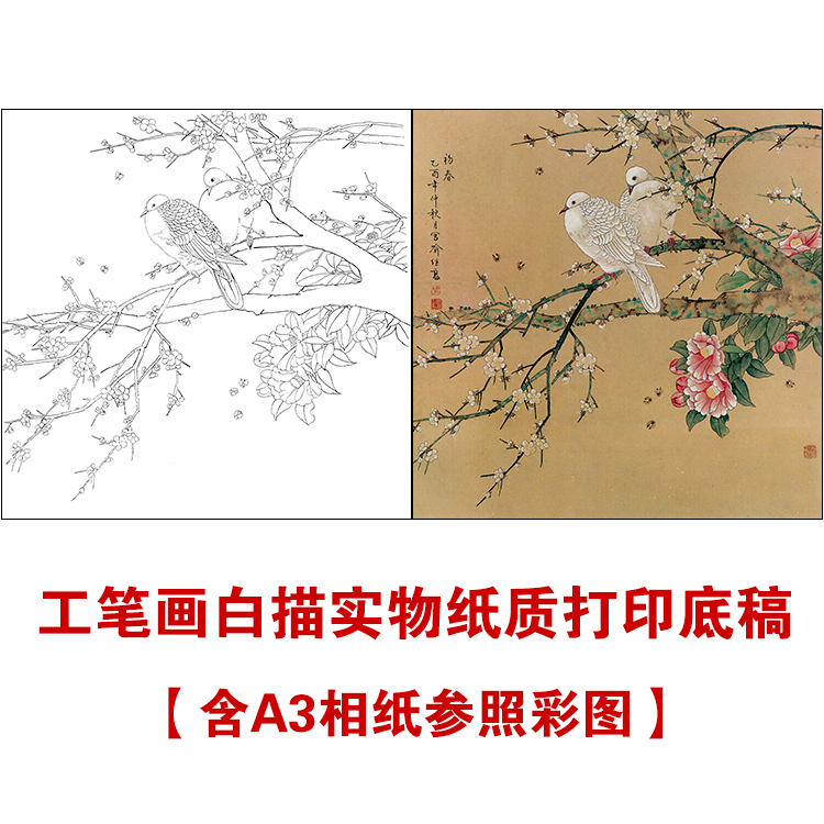 df21 工笔画斗方白描底稿 国画花鸟临摹勾线实物打印