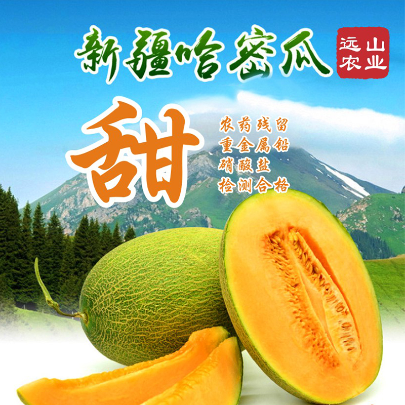 新疆正宗哈密瓜3个(约20斤)