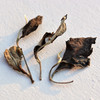 直播：标杆白茶 普洱白茶老白鱼散茶，泡一个小时也是甜（250g） 商品缩略图1