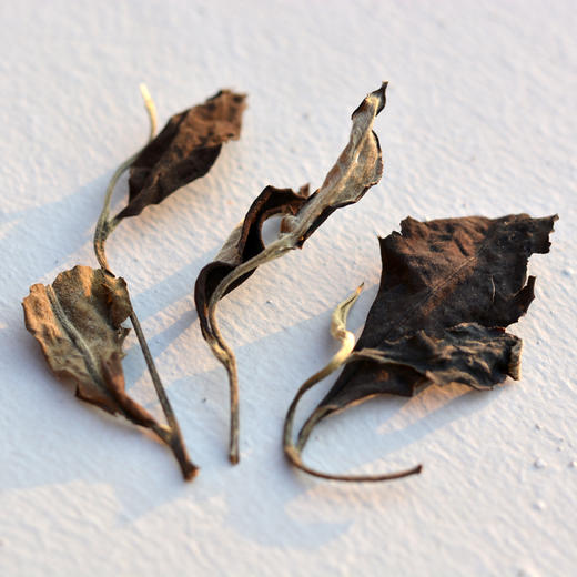 直播：标杆白茶 普洱白茶老白鱼散茶，泡一个小时也是甜（250g） 商品图1