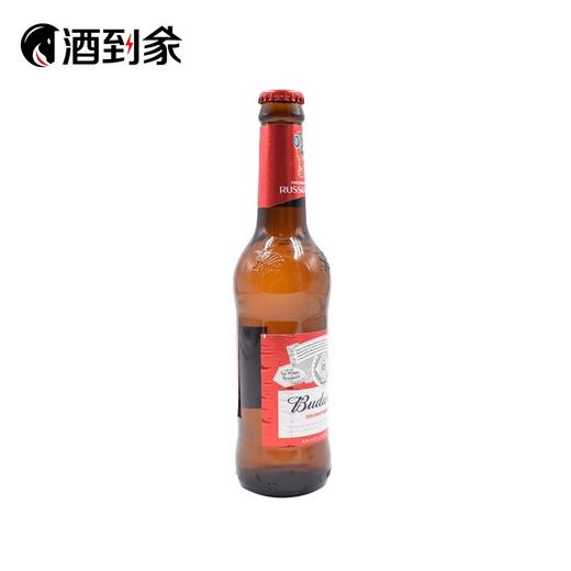 百威啤酒玻璃瓶275ML 商品图2