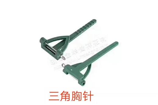 三角胸针（包）--省内满399元包邮，省外运费自理 商品图0
