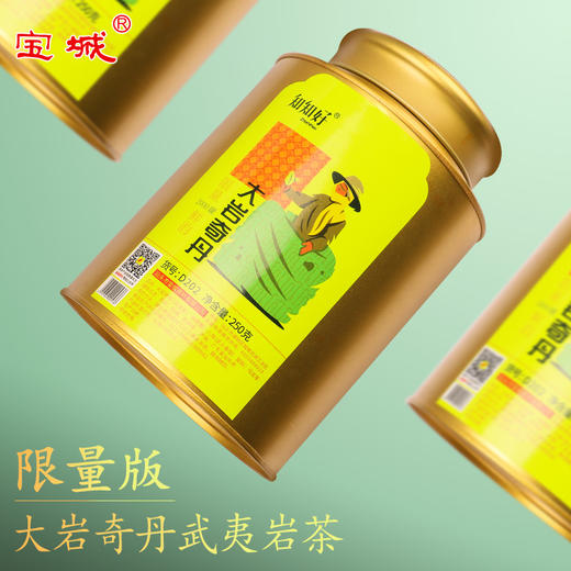 【茶 浓香甘醇 】宝城茶叶 知知好D202大岩奇丹250克罐装限量2000罐，鲜均十足，岩韵立显 商品图2