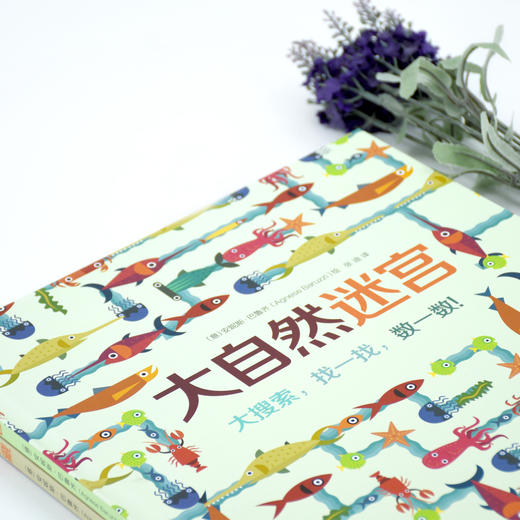 精装地板书：大自然迷宫 [3-6岁] 商品图3